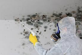 Best Mold Remediation for Healthcare Facilities  in Barton Creek, TX